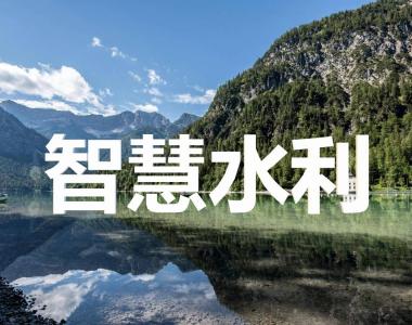 包含从基础设施到智能系统：水资源管理的AI应用的词条