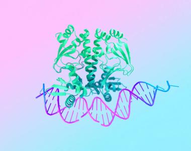 关于生物技术与AI的交叉：基因编辑与合成生物学的未来的信息