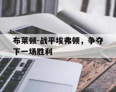 布莱顿-战平埃弗顿，争夺下一场胜利的简单介绍